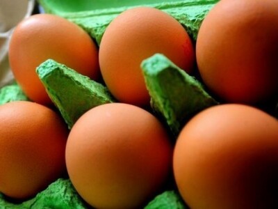 Uslijed oštrih propisa EU Hrvatska bi uskoro mogla ostati bez kokošjih jaja