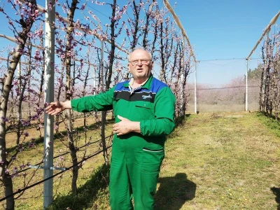 Uspjeh Kovačevića sa Baštice: Elimirali herbicide, udvostručili prinose, dobili Global Gap i osvojili  europske trgovačke lance