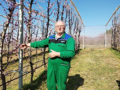 Uspjeh Kovačevića sa Baštice: Elimirali herbicide, udvostručili prinose, dobili Global Gap i osvojili  europske trgovačke lance Uspjeh Kovačevića sa Baštice: Elimirali herbicide, udvostručili prinose, dobili Global Gap i osvojili  europske trgovačke lance