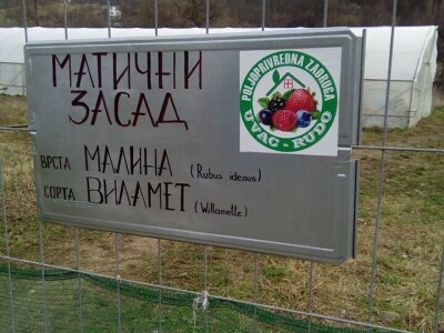 Uspješan primjer zadrugarstva - PZ "Uvac" Rudo