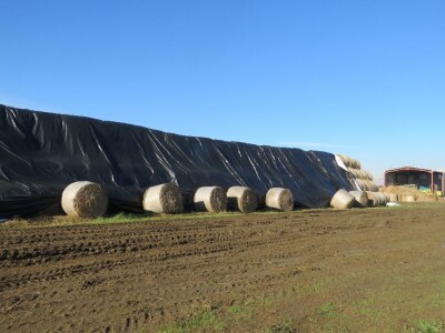 USPJEŠNA SURADNJA TVRTKI EURO-TIM I SIP ŠEMPETER