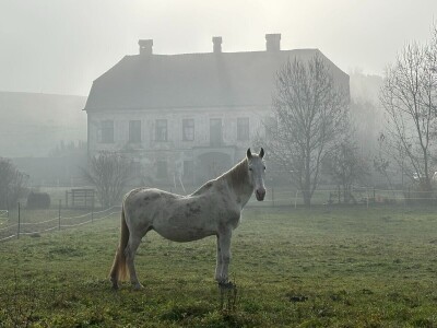 Utočište za konje AA Zero u Mariji Gorici Utočište za konje AA Zero u Mariji Gorici