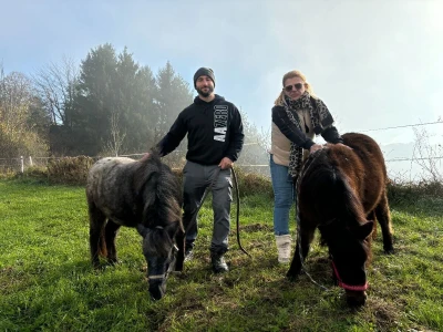 Utočište za konje AA Zero u Mariji Gorici