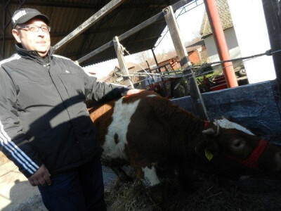 Iz Taraša junica ide na farmu Slavoljuba Miloševa iz Farkaždina