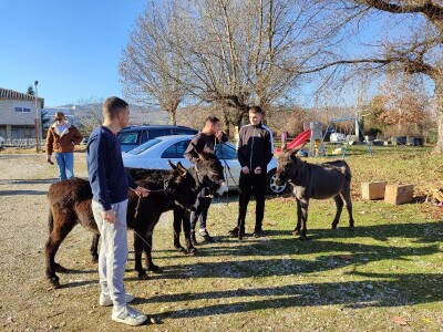 Utrka magaraca Čapljina
