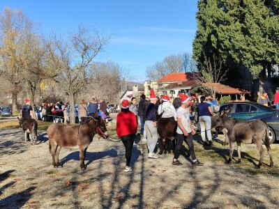 Utrka magaraca Čapljina