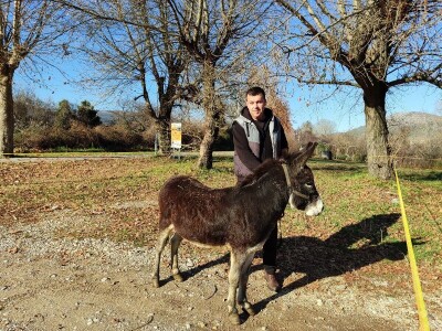 Utrka magaraca Čapljina