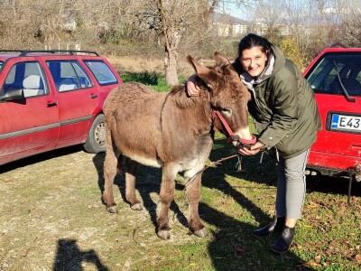 Utrka magaraca Čapljina