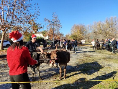 Utrka magaraca Čapljina