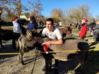 Utrka magaraca Čapljina