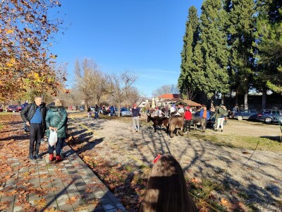 Utrka magaraca Čapljina