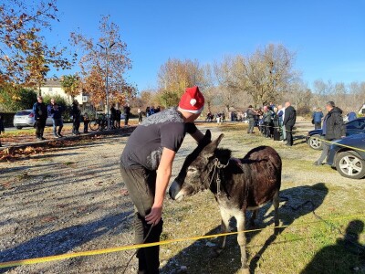 Utrka magaraca Čapljina