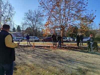 Utrka magaraca Čapljina