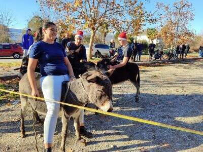 Utrka magaraca Čapljina