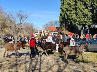 Utrka magaraca Čapljina