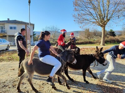 Utrka magaraca Čapljina