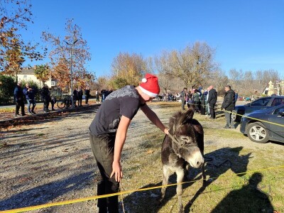 Utrka magaraca Čapljina