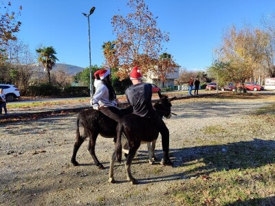 Utrka magaraca Čapljina