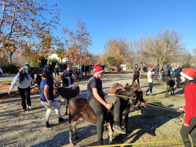 Utrka magaraca Čapljina