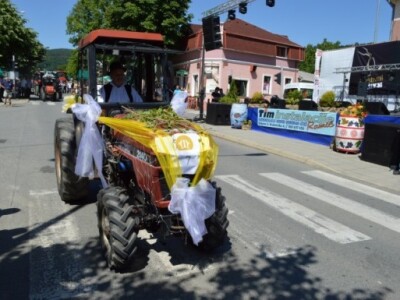 Utrka traktorima na Festivalu graševine 2014. u Kutjevu