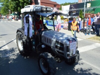 Utrka traktorima na Festivalu graševine 2014. u Kutjevu