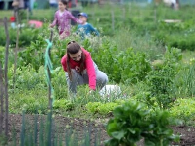 Urbani vrtovi u Sesvetama Urbani vrtovi u Sesvetama