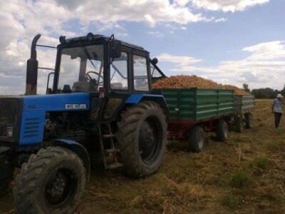 Na gospodarstvu je uvijek radno