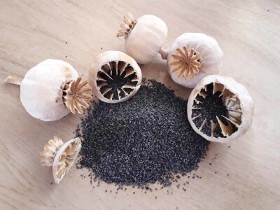 Uz bakine trikove u vrtu ne trebaju vještački pereparati Uz bakine trikove u vrtu ne trebaju vještački pereparati