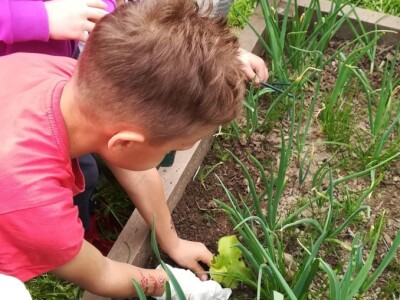 Uz ovakve mališane, svijet ostaje u sigurnim rukama