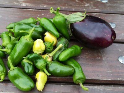 Uz ovakve mališane, svijet ostaje u sigurnim rukama