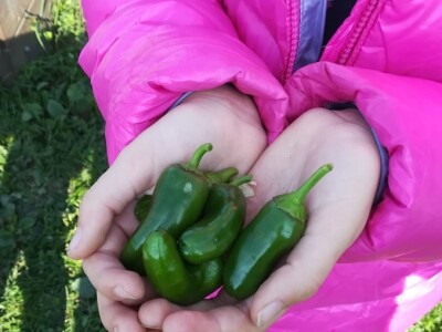 Uz ovakve mališane, svijet ostaje u sigurnim rukama