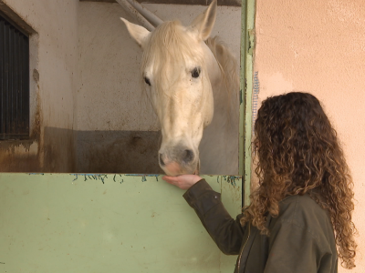 Uzgaja koze od kojih pravi visokokvalitetne sireve