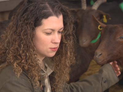 Uzgaja koze od kojih pravi visokokvalitetne sireve