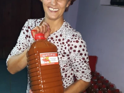 Uzgajanje šipurka