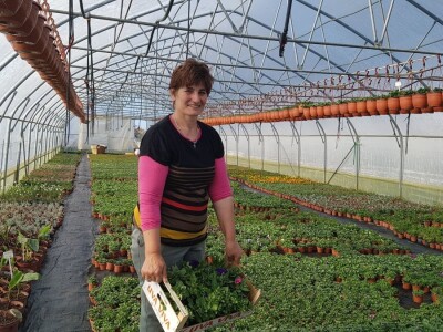 Uzgajivači cvijeća i ljekovitog bilja u problemu – skoro dvije trećine robe nemaju gdje prodati