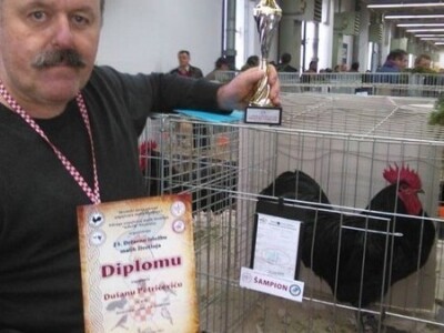 Uzgajivačnica peradi i kunića u OPG-u Dušana Petričevića