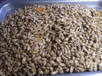 Uzgoj butternut tikve