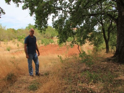 Uzgoj divljih šparoga