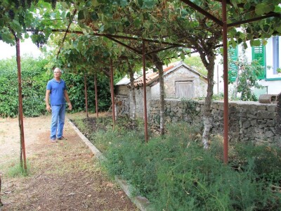 Uzgoj divljih šparoga