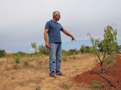 Uzgoj divljih šparoga