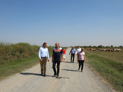 Uzgoj goveda na obrtu Purić