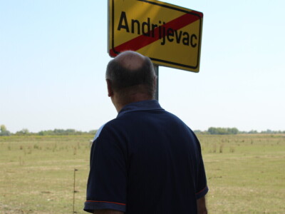 Uzgoj goveda na obrtu Purić