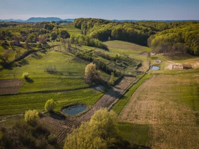 Uzgoj heljde i pira u Zagorju