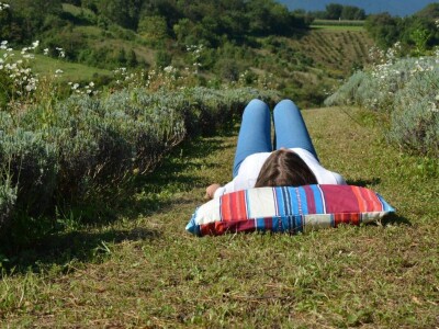 Uzgoj heljde i pira u Zagorju