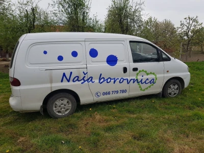Uzgoj i rezidba borovnica