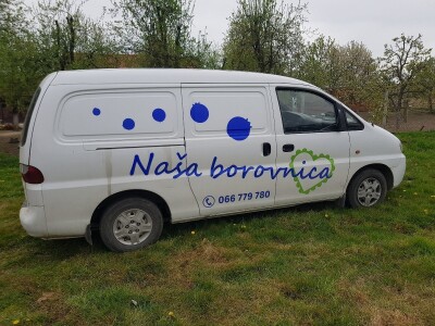 Uzgoj i rezidba borovnica