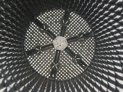 Uzgoj i rezidba borovnica