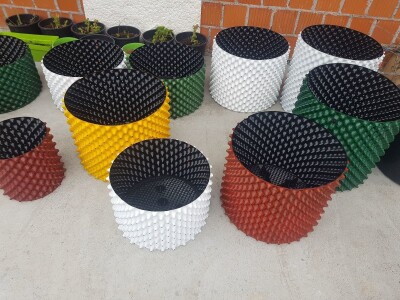 Uzgoj i rezidba borovnica