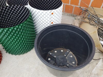 Uzgoj i rezidba borovnica