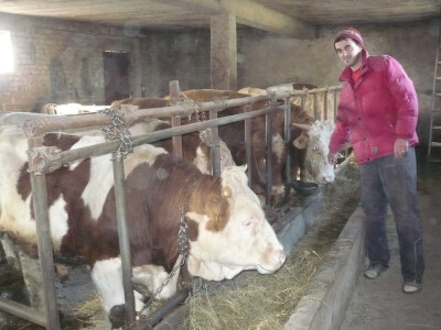 Tov junadi u  starim objektima